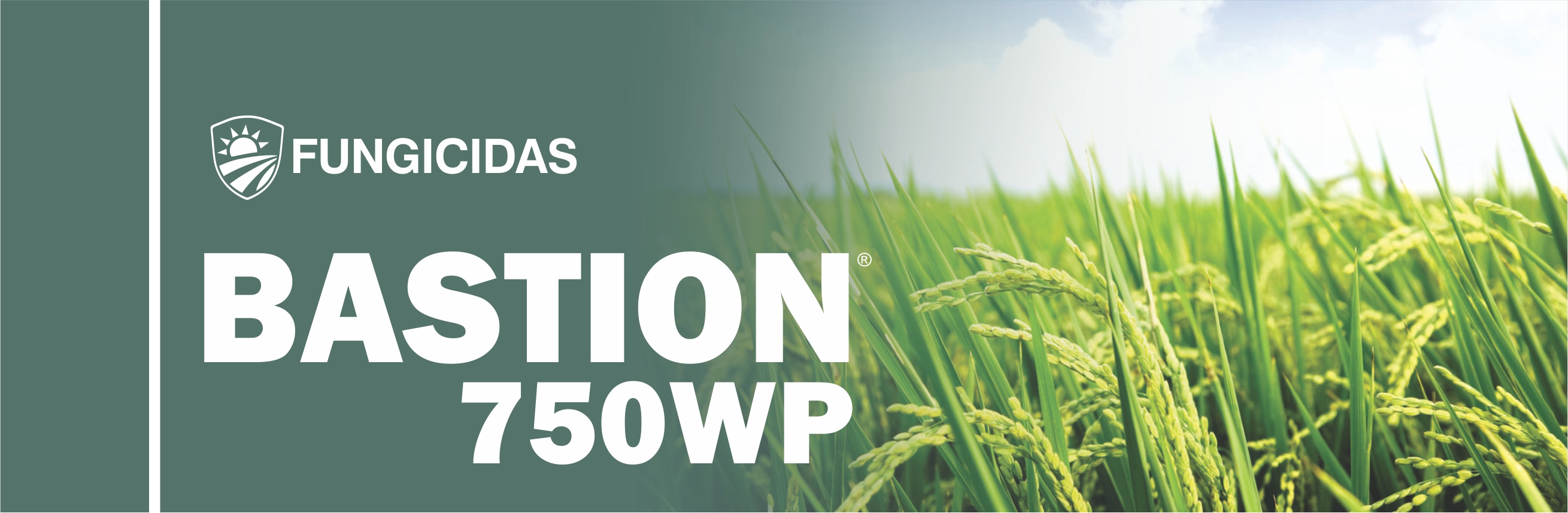 BASTION® 750WP