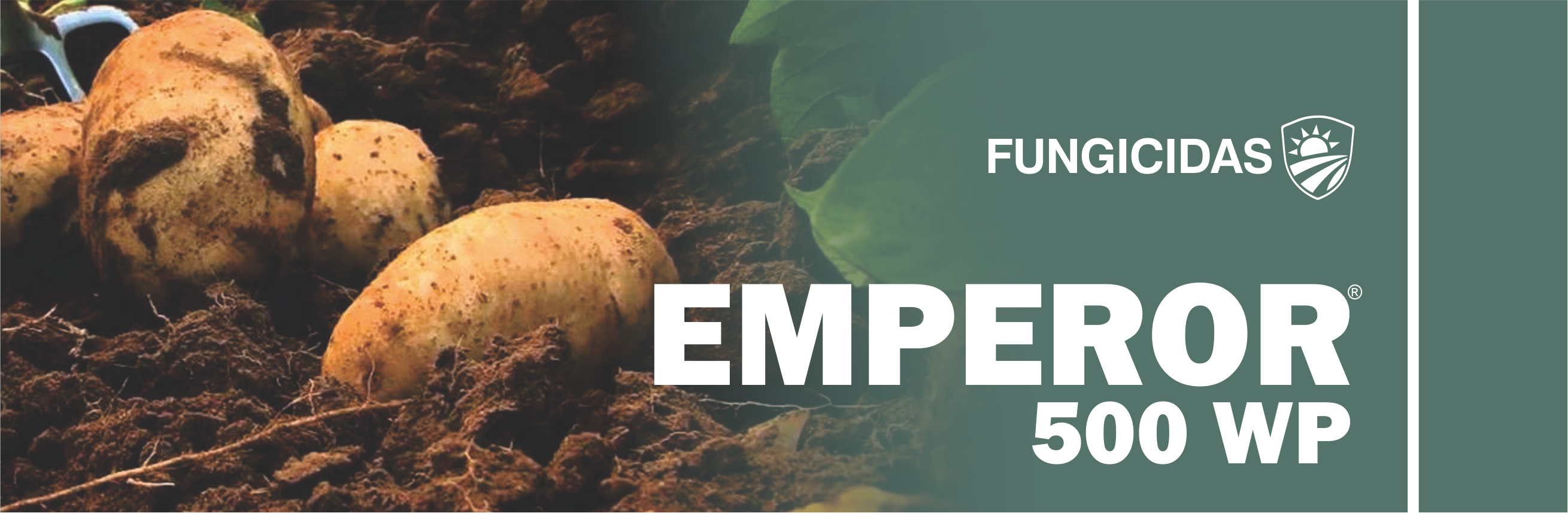 EMPEROR® 500 WP