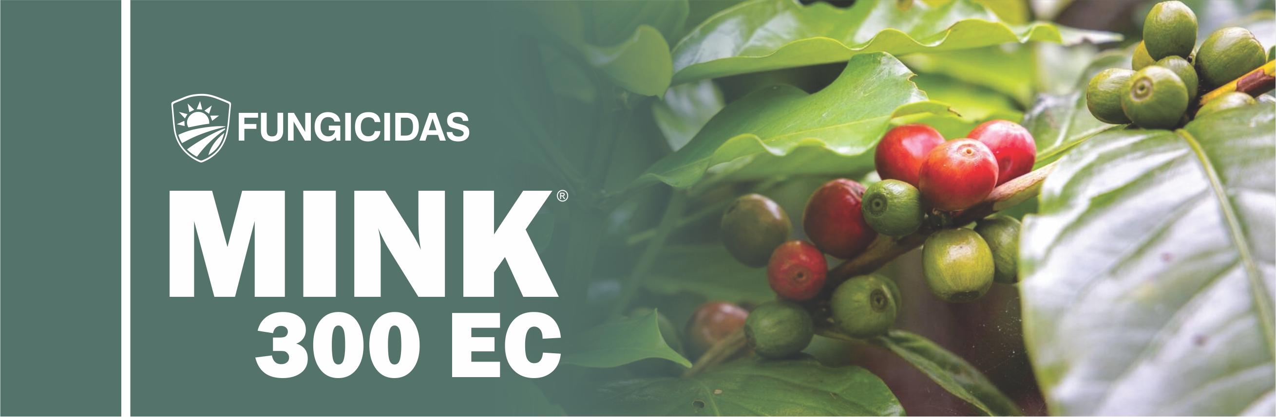 MINK® 300 EC