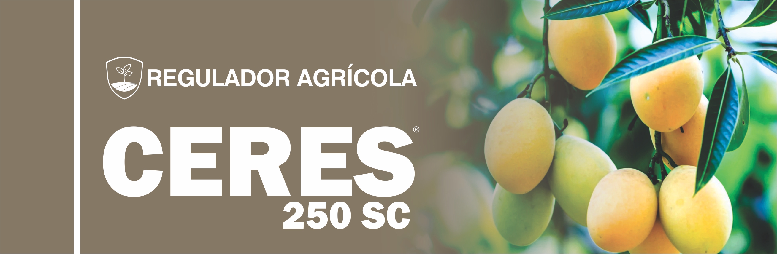 CERES® 250 SC