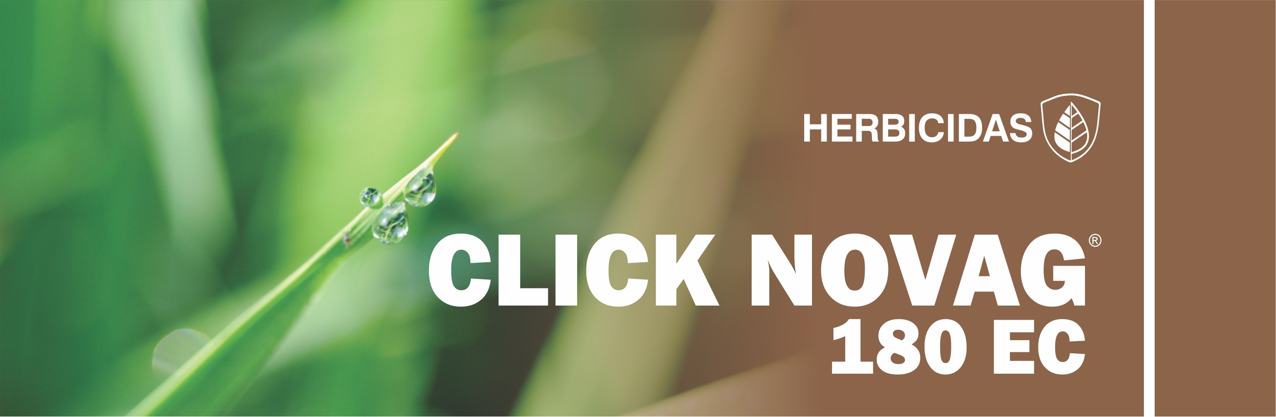 CLICK NOVAG® 180 EC