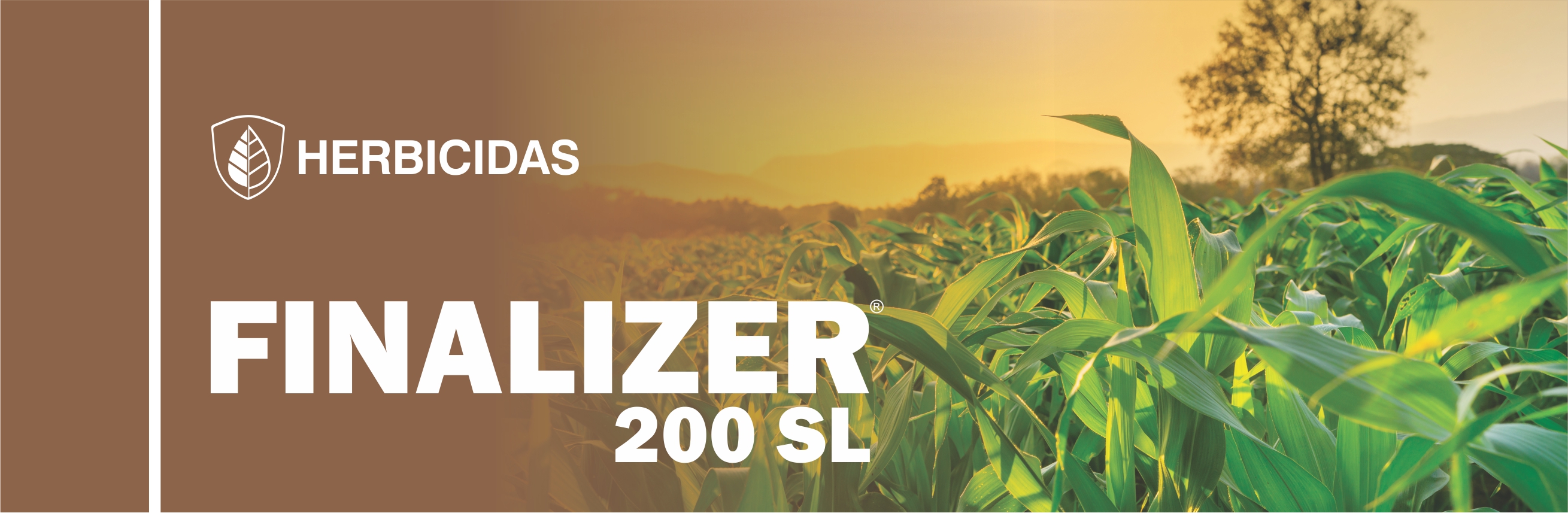 FINALIZER® 200 SL