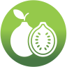 Guayaba