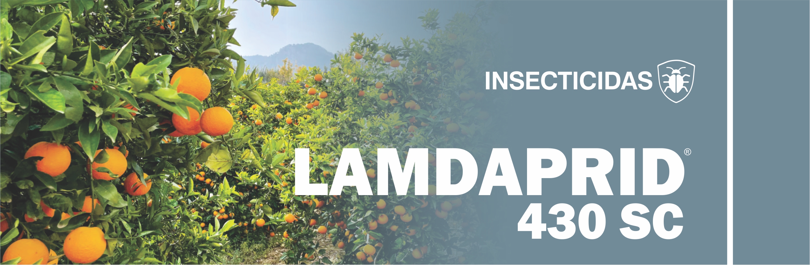 LAMDAPRID® 430 SC
