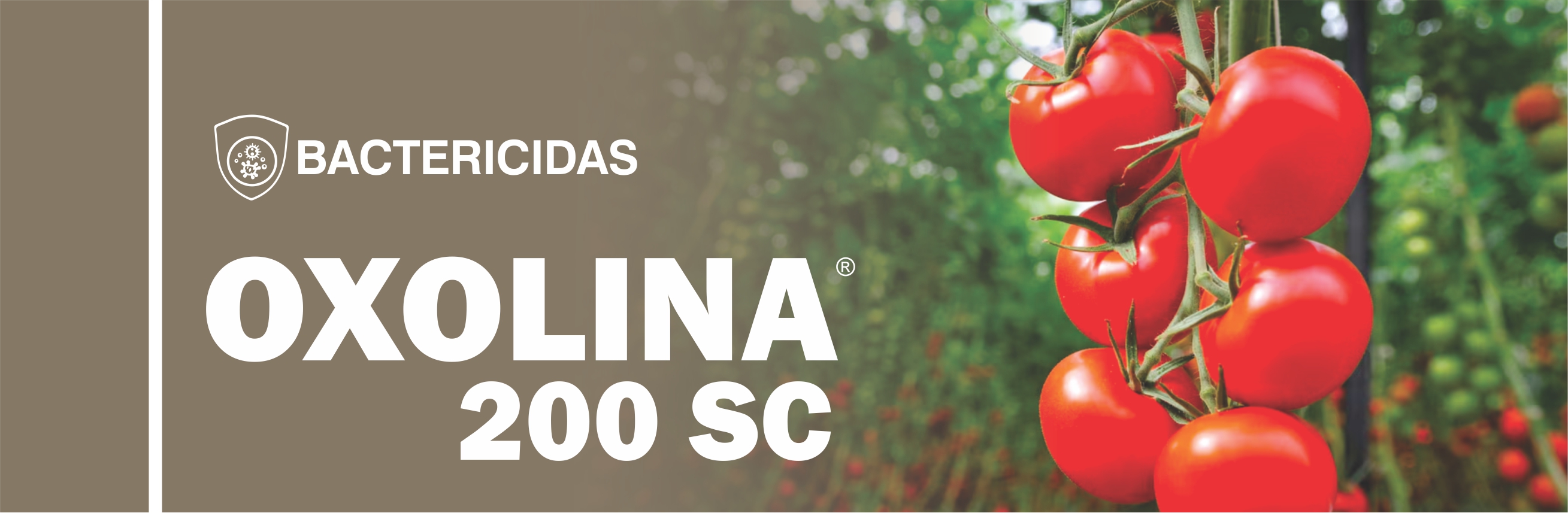 OXOLINA® 200 SC