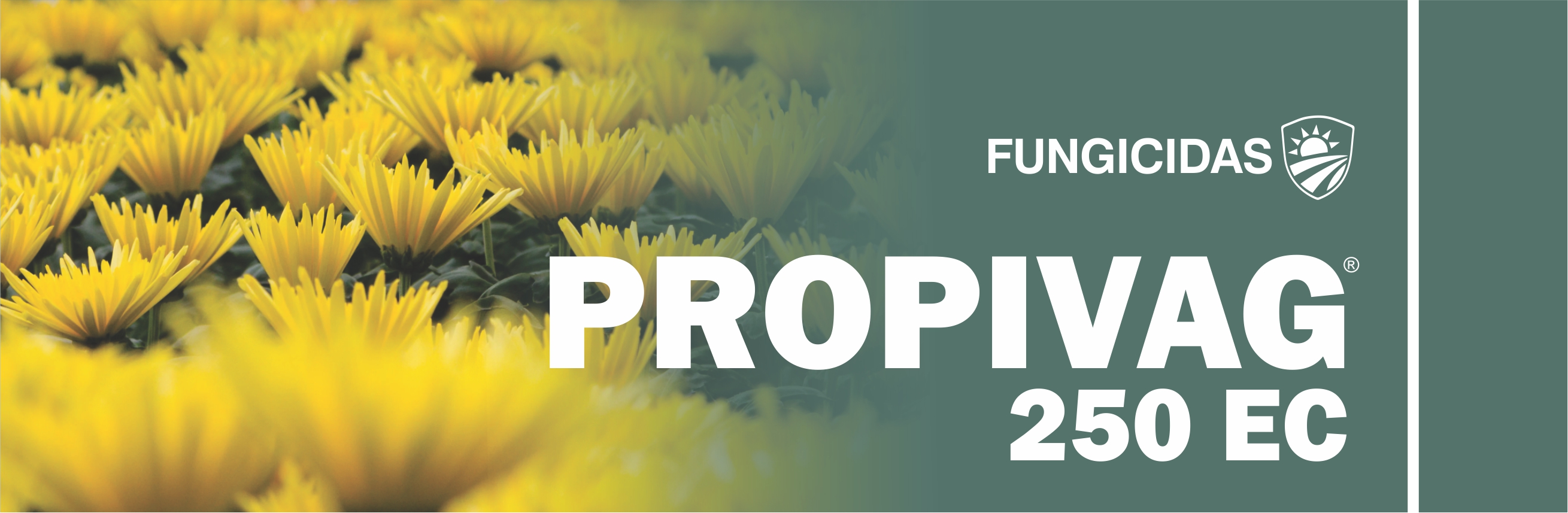 PROPIVAG® 250 EC