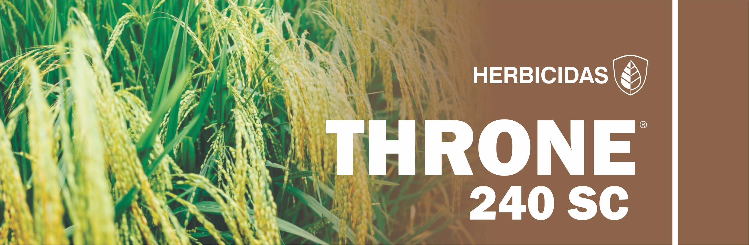 THRONE® 240 SC
